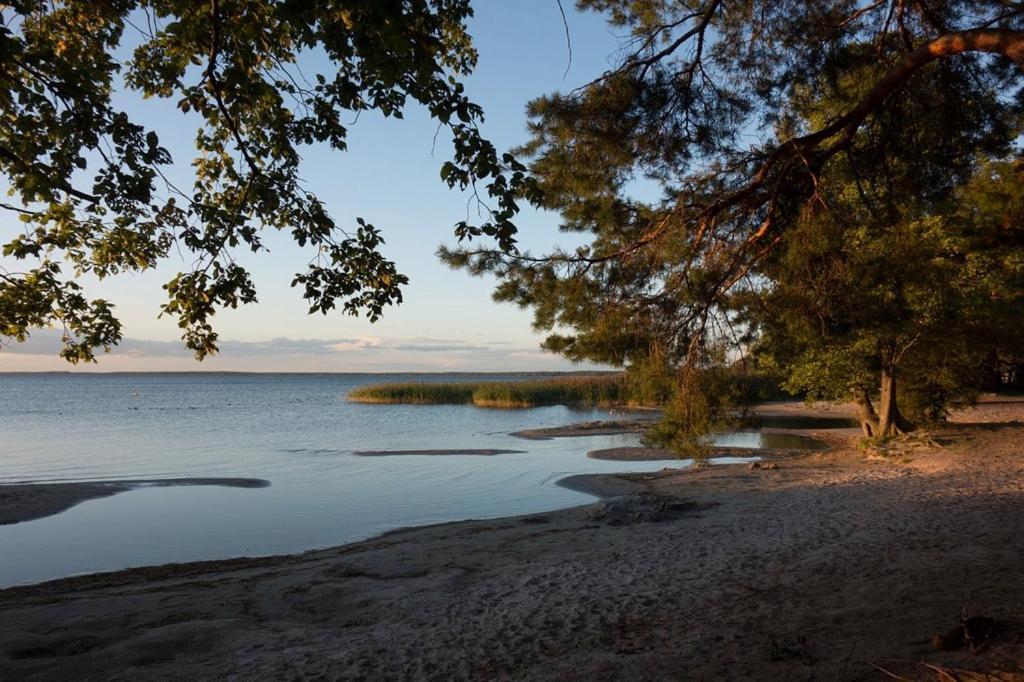 Fleesentraum Seeadler Grand Maisonette - Fuer Golfer Und Familien - Sauna Kamin Balkon Nintendo - Hunde Willkommen! Гёрен-Леббин Экстерьер фото